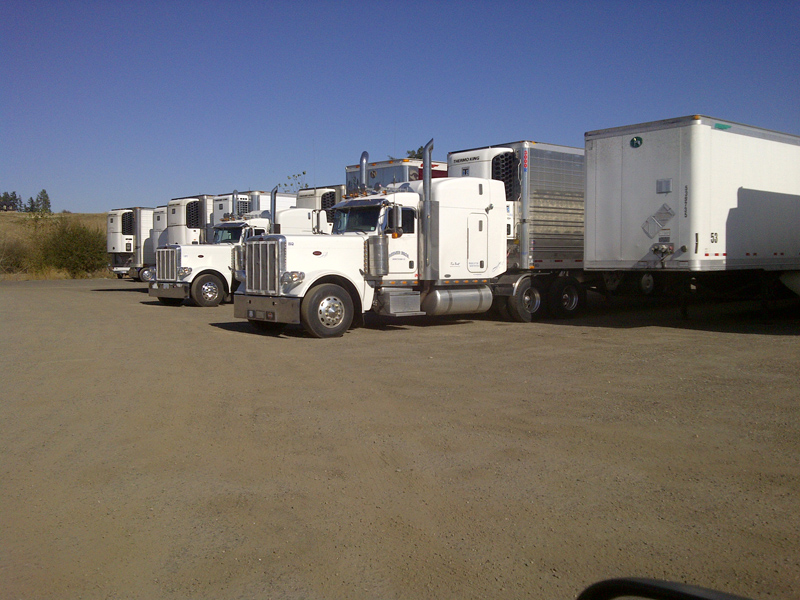 Reimer Bros Trucking Refrigerated Trailers
